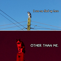 post-image