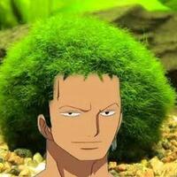 japanese-marimo--bola-lumut-menawan-yang-menjadi-bioindikator-lingkungan-bersih