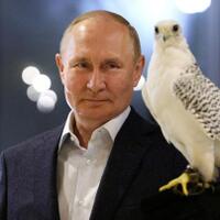 breaking-news-luhut-putin-tidak-hadir-di-ktt-g20-bali