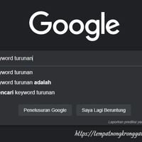 sekilas-pengenalan-mengenai-seo-piramida