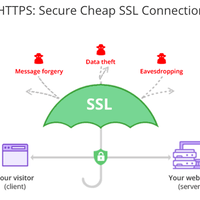 sekilas-pengenalan-mengenai-seo-piramida