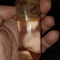 minyak-firaun