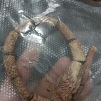 gelang-panglima-naga