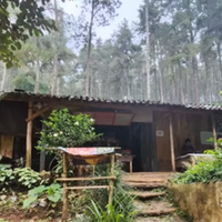 unik-warung-kopi-di-tengah-hutan-belantara-bukan-24-jam--ada-wifi