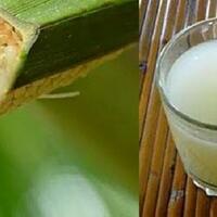 arak-bali-tradisi-minum-tuak-dan-mabuk-yang-bertanggungjawab