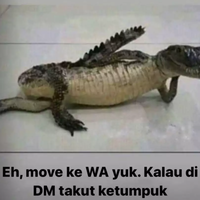 buaya-wa