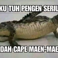 buaya-serius
