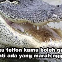 buaya-telpon