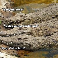 kampung-buaya