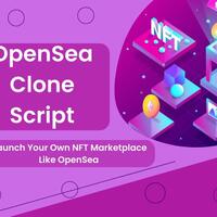 where-can-i-find-the-perfect-opensea-clone-script