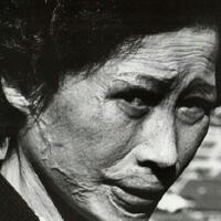 kisah-hibakusha-penyintas-bom-atom-hiroshima-dan-nagasaki