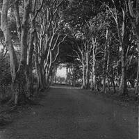 post-image