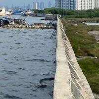 air-laut-jakarta-lebih-tinggi-dari-daratan-benarkah-akan-tenggelam