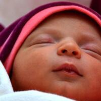 stop-beri-mpasi-terlalu-dini-pada-bayi-ini-resiko-bahaya-yang-perlu-untuk-diwaspadai