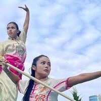 jarang-ada-yang-tahu-artis-dan-politikus-krisdayanti-ternyata-jago-beladiri-wushu