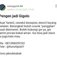 apa-harus-jadi-gigolo