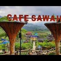 eksplorasi-keindahan-alam-di-cafe-sawah--tempat-wisata-baru-di-kabupaten-malang