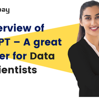 overview-of-chatgpt--a-great-winner-for-data-scientists