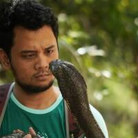 6-jenis-ular-sering-masuk-pemukiman-cara-ampuh-mengusirnya-menurut-panji-petualang