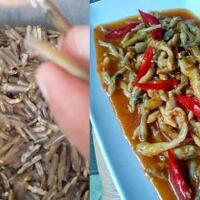 langka-dan-hanya-ada-di-pulau-garam-lorjuk-makanan-khas-madura-patut-untuk-dicoba