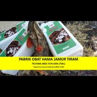 ampuh-telp-wa--0822-7275-0345-distributor-pengusir-hama-jamur-palembang