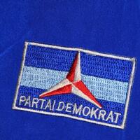 kibarkan-bendera-partai-demokrat-di-madinah-anak-ketua-dprd-karawang-ditangkap