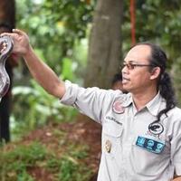 ketua-yayasan-sioux-aji-rachmat-tewas-digigit-ular-profesional-pun-bisa-alami-sial