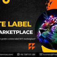 why-do-entrepreneurs-prefer-a-white-label-nft-marketplace