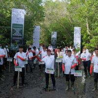 menanam-bakau-untuk-indonesia