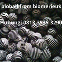 bioball-from-biomerieux