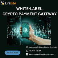 crypto-payment-gateway--profitable-business-in-the-crypto-space