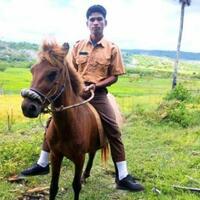 rio-siswa-sma-ntt-berangkat-naik-kuda-hambatan-ke-sekolah-bukan-masalah-yang-sulit