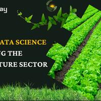 6-ways-data-science-is-helping-the-agriculture-sector