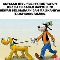 kenapa-banyak-orang-pelihara-anjing