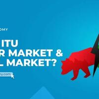 apa-itu-bear-market-dan-bull-market