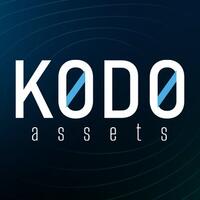 what-is-kodo-asset