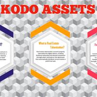 kodo1-assets-project