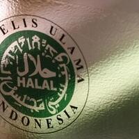 mui-tawarkan-solusi-u20-tetap-di-ri-tapi-israel-main-di-singapura