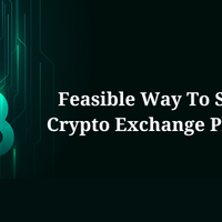 which-is-the-feasible-way-to-start-a-crypto-exchange-platform