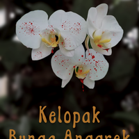 kelopak-bunga-anggrek