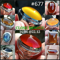 lelang-677--29-pcs-close-minggu-16-04-2212