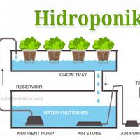 hydroponik-cara-menanam-tanaman-tanpa-tanah