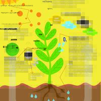 memahami-proses-fotosintesis-pentingnya-pengetahuan-tentang-proses-hidup-tanaman