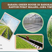 pusat-grosir-sarana-greenhouse-di-bangkalan