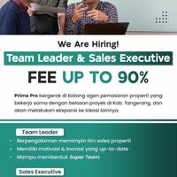 sales-executive-property