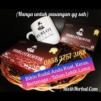 jual-jualan-kopi-hublot-balik-papan-maluku-jayapura-kopi-suplemen-vitalitas-pria