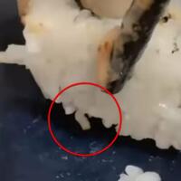 pesan-sushi-di-resto-pelanggan-ini-dapat-topping-tambahan-tak-terduga