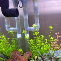 aquascape-for-everyone-learning-and-sharing---part-4