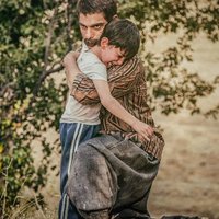 walnut-tree-kisah-pilu-warga-kurdi-selamatkan-keluarga
