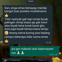cindromanik-lelang-spirit-non-vessel--spirit-portal-archon--ob-semi-hibah